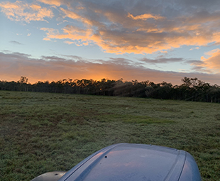 Vehicle Assembly Sunset 2