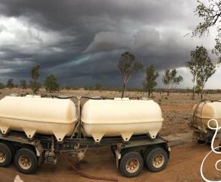 Dark Clouds Looming 4