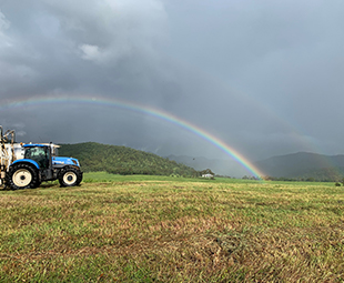 Rainbow